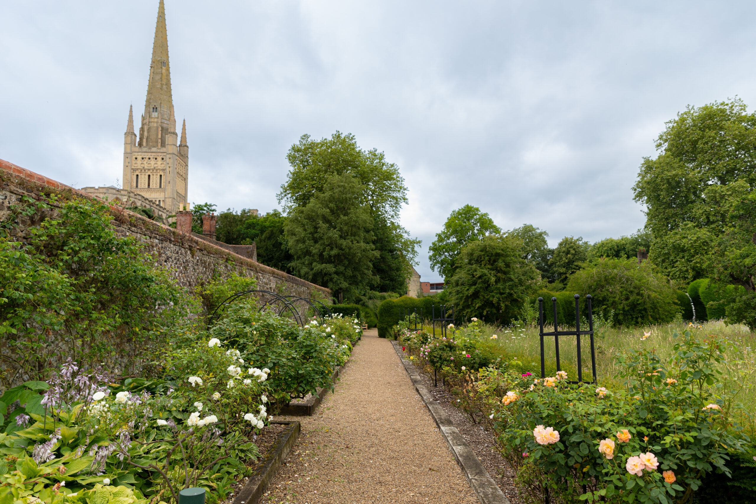 Last chance to visit glorious city centre garden for summer charity ...